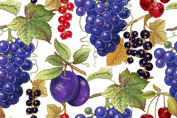 与葡萄 红黑醋栗 樱桃白色背景的无缝植物图案 维多利亚风格 矢量插图 厨房设计 食品包装 — 图库矢量图片