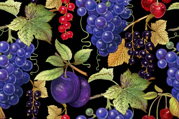 Üzüm, Erik, kırmızı ve siyah frenk üzümü siyah arka plan üzerine kiraz ile Seamless botanik modeli. Vintage. Victoria tarzı. Vektör çizim. Mutfak tasarımı, gıda ambalaj, kağıt, iç için.