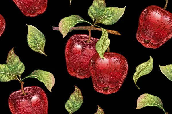 Seamless pattern with red apples. Realistic vector illustration plant. Hand drawing with colored pencils. Fruit, leaf, branch of tree on black background. For kitchen design, food packaging. Vintage.