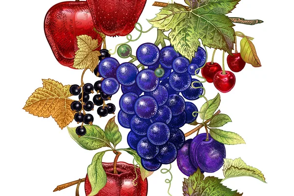 Patrón Sin Costuras Con Frutas Manzana Uva Cereza Ciruela Grosella — Archivo Imágenes Vectoriales