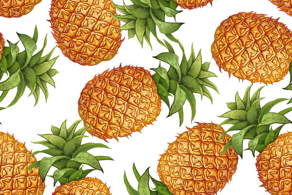 Pineapple on white background. Seamless botanical pattern with fruit. Vintage. Victorian style. Vector illustration. Template for kitchen design, food packaging, paper, textiles, dishes, interior.