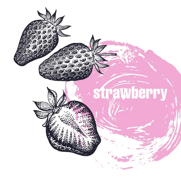 Strawberry Realistic Vector Illustration Berry Isolated White Background Hand Drawing — Stock Vector