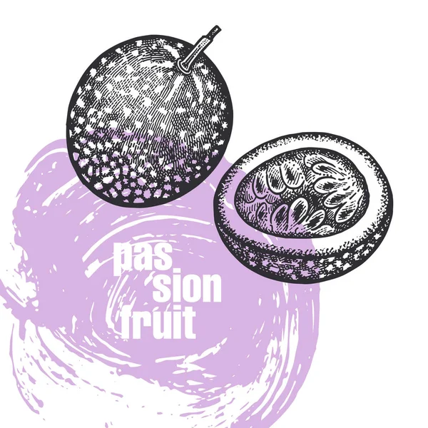 Φρούτο Του Πάθους Ρεαλιστική Διανυσματικά Εικονογράφηση Των Φρούτων Που Απομονώνονται — Διανυσματικό Αρχείο
