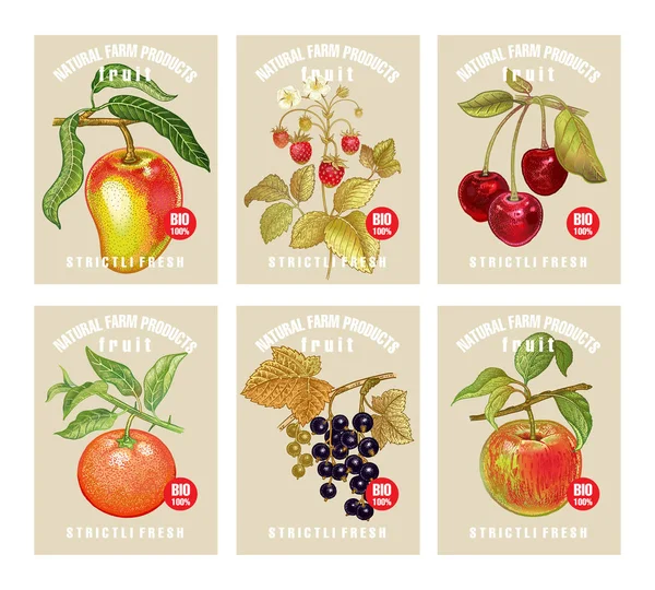 Etiketten Met Verschillende Vruchten Bessen Inscripties Stel Sjablonen Prijskaartjes Voor — Stockvector