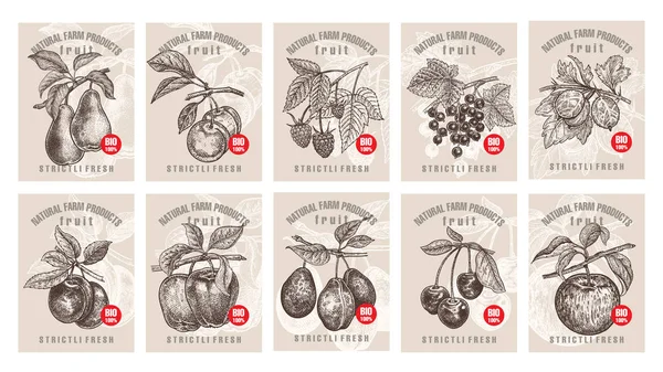 Étiquettes Avec Divers Fruits Baies Inscriptions Fixez Des Modèles Étiquettes — Image vectorielle