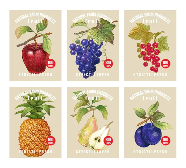 Etiquetas Com Várias Frutas Bagas Inscrições Definir Modelos Etiquetas Preço —  Vetores de Stock