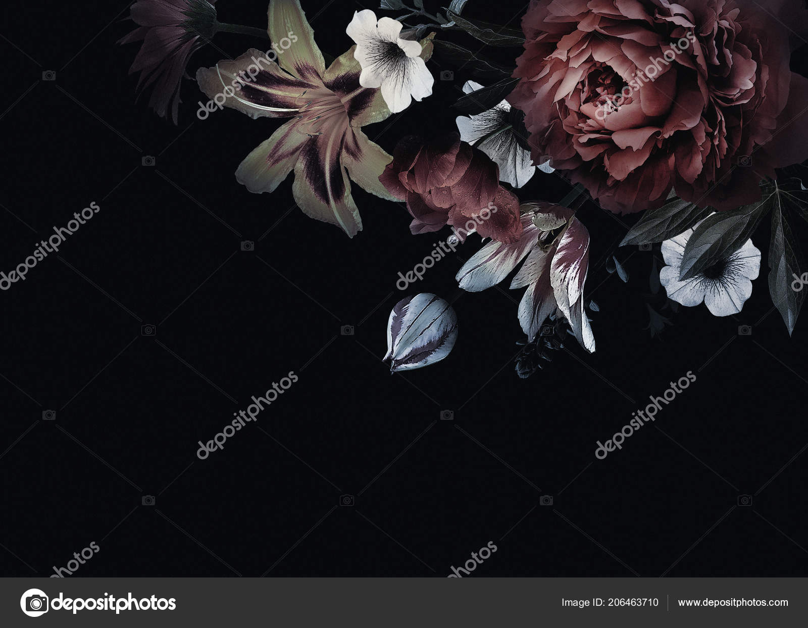 Carte Fleurie Vintage Avec Des Fleurs Pivoines Tulipes Lis Hortensia Image Libre De Droit Par Sasha Kasha C