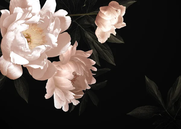 Çiçek Çiçek Vintage Kartıyla Peonies Lale Lily Ortanca Siyah Arka — Stok fotoğraf