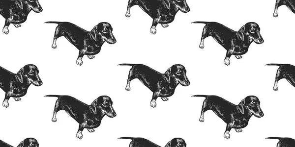 Dachshund Padrão Sem Costura Com Filhotes Bonitos Animais Estimação Casa —  Vetores de Stock