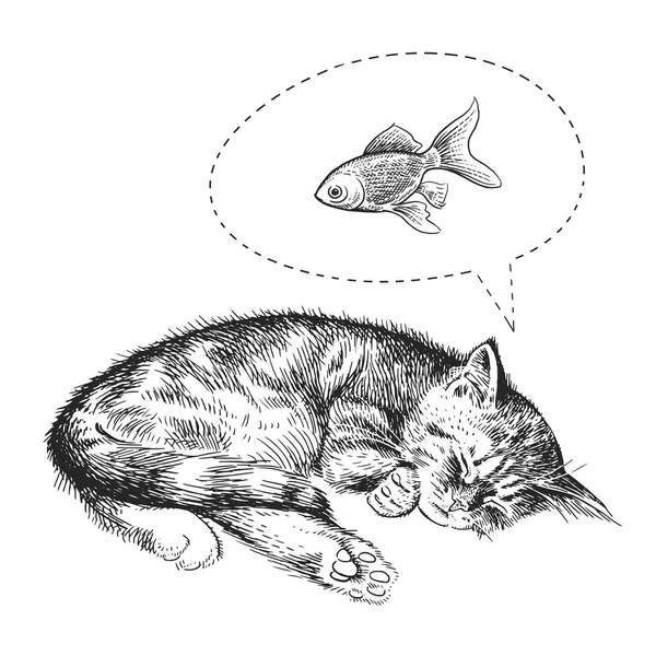 Roztomilé Kotě Spí Sny Zlaté Rybky Domácí Mazlíček Izolovaných Bílém — Stockový vektor