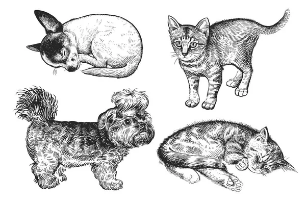 Roztomilý Set Štěňat Koťat Domácí Zvířata Izolovaných Bílém Pozadí Náčrt — Stockový vektor
