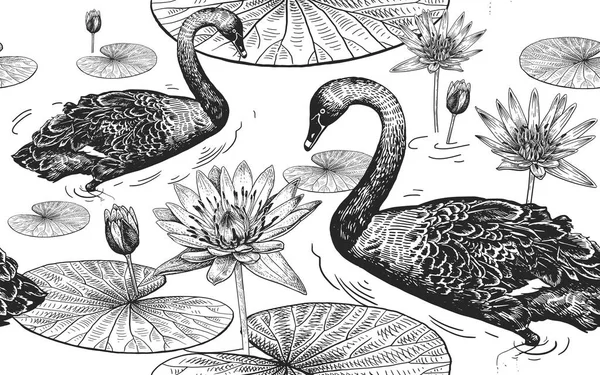 无缝图案与鸟天鹅 花和叶子的睡莲 矢量插画艺术 老式雕刻 黑白相间的 纺织品 墙纸设计模板 — 图库矢量图片