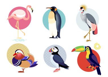 Kuşlar martı, mandarin ördeği, flamingolar, Tukan, Penguen, beyaz arka plan üzerinde izole kuş Sekreter. Vektör çizimler hayvanlar. Düz Icons set.