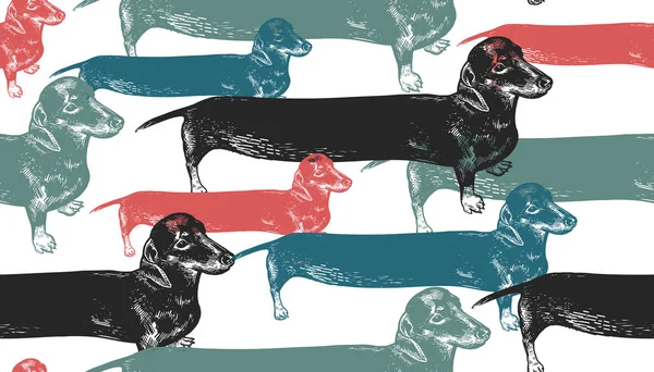 Seamless Modeli Dachshunds Uzun Köpekler Siyah Kırmızı Mavi Yeşil Sevimli — Stok Vektör