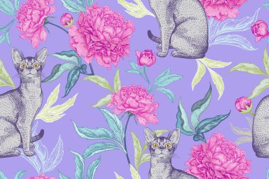Kediler ve peonies. Yavru kedi ve çiçekler. Seamless modeli. Vektör çizim modern. El kroki evde beslenen hayvan ve bitki. Pembe, gri ve mor. Kağıt, duvar kağıdı, tekstil, dekorasyon hayvan dükkanlar tasarımı için
