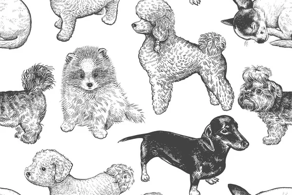 Cute puppies seamless pattern. Home pets background. Sketch. Vector illustration art. Realistic portraits of animal. Vintage. Black, white and blue hand drawing of dogs.