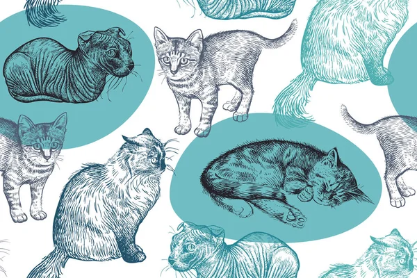 Słodkie Kociaki Jednolity Wzór Tło Zwierząt Szkic Sztuka Ilustracji Wektorowych — Wektor stockowy