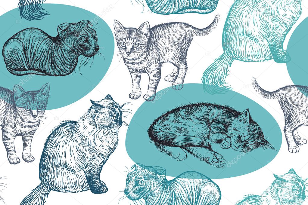 Cute kittens seamless pattern. Home pets background. Sketch. Vector illustration art. Realistic portraits of animal. Vintage. Black, white and blue hand drawing of cats.