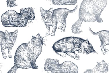 Seamless modeli şirin yavru kedi. Beyaz arka plan üzerinde izole ev Evcil hayvan. Kroki. Vektör çizim sanat. Hayvan gerçekçi portreleri. Vintage. Siyah ve beyaz el kediler çizimi.