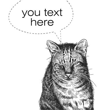 Kedi. Evde beslenen hayvan ve kabarcık metin için gerçekçi portresi. Vintage oyma. Vektör çizim sanat. Siyah ve beyaz el çizimi. Yakın çekim yavru kedi başkanıdır. Evcil hayvan komik yüz ifadeleri.