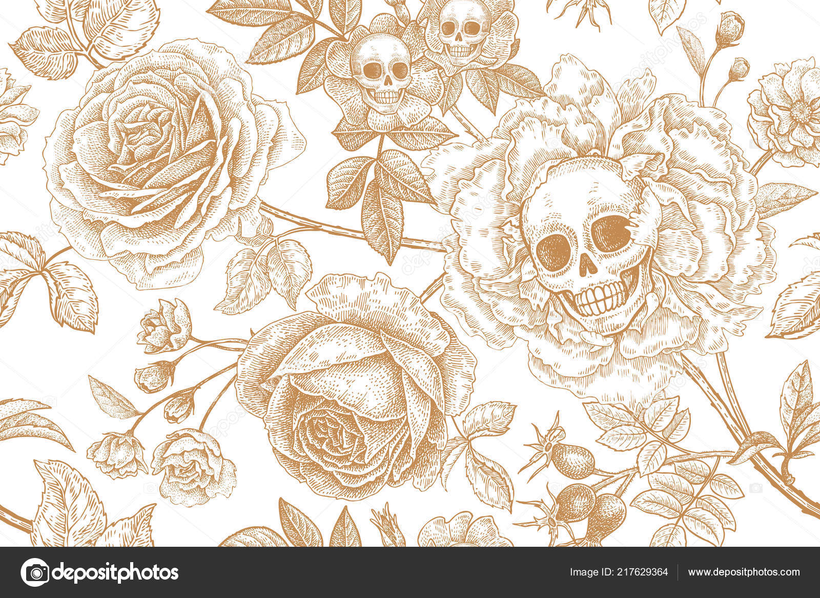 두개골 단풍입니다 패턴입니다 일러스트입니다 빈티지입니다 바탕에 벽지의 스톡 벡터 - ©sasha-kasha 217629364, image size:1600x1167