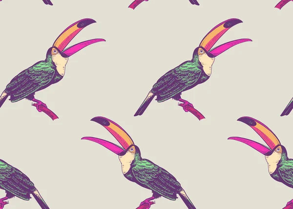 Birds toucans on white background. Seamless pattern for design paper, wallpaper, textile. Vector illustration of nature. Vintage. Hand drawing of the animals.