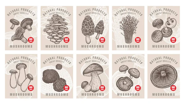 Etiketten Mit Pilzen Setzen Vorlagen Preisschilder Für Geschäfte Märkte Für — Stockvektor