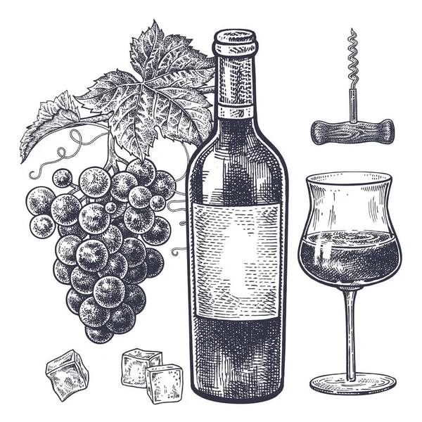Vintage Hand Drawing Subject Alcohol Bottles Red Wine Grapes Wine Stock Vector