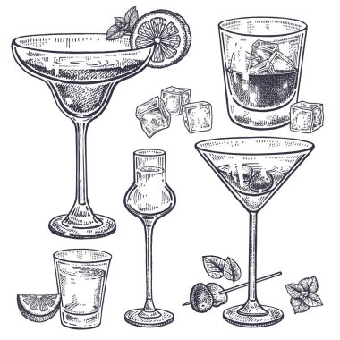 Alkollü içecekler ayarlayın. Margarita; viski; tekila; Votka ve vermut bardaklarda; buz; Zeytin; nane; limon. Beyaz arka plan üzerinde izole. Siyah ve beyaz. Vintage. El çizimi. Vektör çizim.