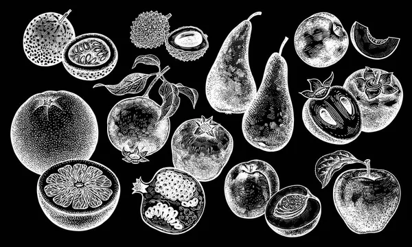딸기와 설정합니다 현실적인 복숭아 배나무 그리기입니다 빈티지입니다 화이트 — 스톡 벡터