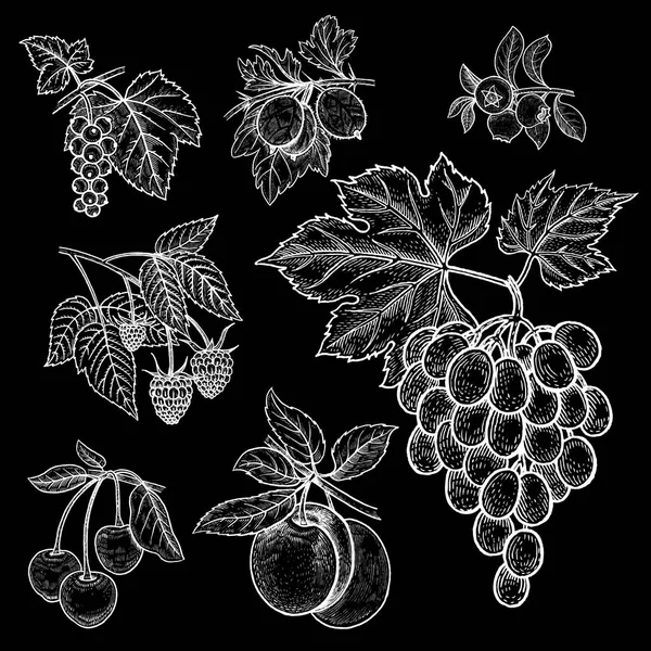 Grosellas Rojas Grosellas Arándanos Frambuesas Uvas Cerezas Ciruelas Ilustración Vectorial — Vector de stock