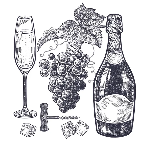 Vintage Hand Drawing Subject Alcohol Bottles Champagne Grapes Wine Glass Royalty Free Stock Vectors