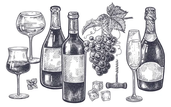Vintage Hand Drawing Subject Alcohol Bottles Wine Champagne Grapes Wine Royalty Free Stock Vectors