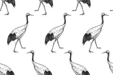 Kuşlar ile Seamless modeli Japon vinç. Vektör çizim sanat. Vintage oyma. Beyaz bir arka plan üzerinde siyah kuş figürleri. Kağıt, tekstil, duvar kağıdı tasarım şablonu.