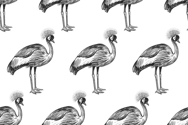 Χωρίς Ραφή Πρότυπο Πουλιά Στεμμένος Γερανός Vector Εικονογράφηση Τέχνη Vintage — Διανυσματικό Αρχείο