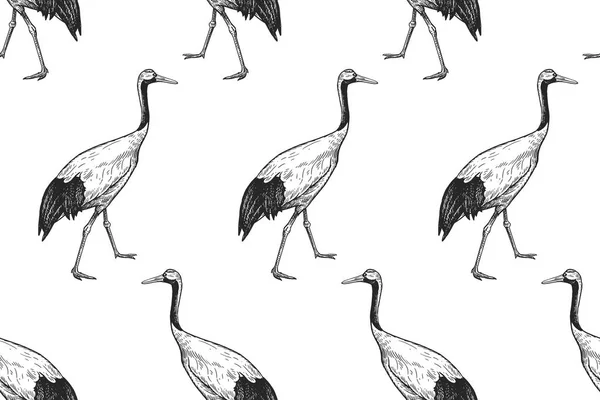 Wzór Ptaków Żurawie Japoński Sztuka Ilustracji Wektorowych Vintage Grawerowanie Czarny — Wektor stockowy