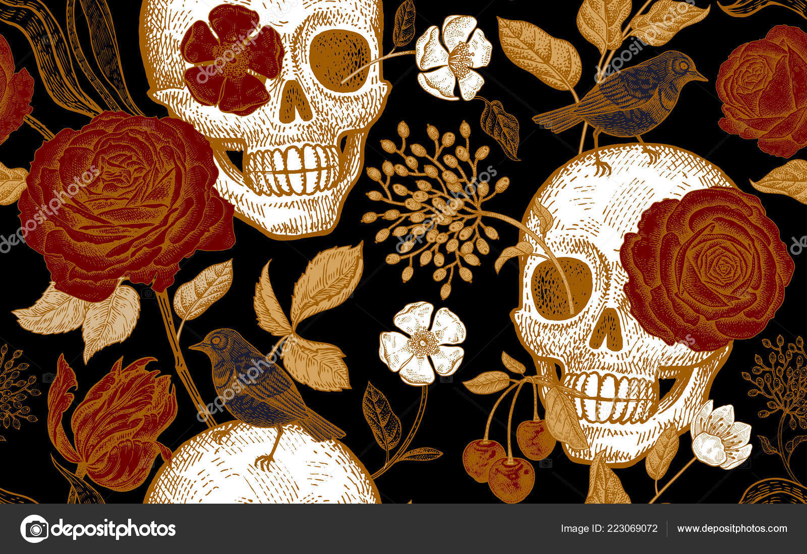 Skull and roses stock photo Image of skulls black  165758222