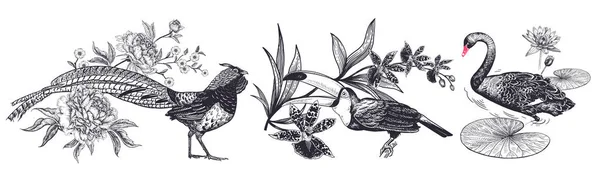装饰鸟和花设置 现实的手绘隔绝 鸡和牡丹 土豆和兰花 天鹅和睡莲 向量例证 黑色和白色 复古雕刻 — 图库矢量图片