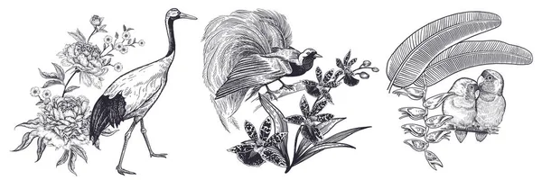 Ställ Dekorationer Fåglar Och Blommor Realistiska Isolerade Japanska Crane Och — Stock vektor