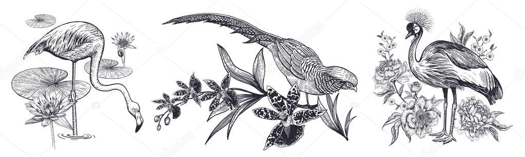 Decorations birds and flowers set. Realistic hand drawing isolated. Crowned Crane and peonies, flamingo and water lily, pheasant and orchid. Vector illustration. Black and white. Vintage engraving.