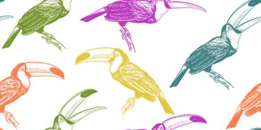 Tropikal kuşlar Tukanlar ile Seamless modeli. Vektör çizim. Doğa egzotik motifler. Kumaşlar, tekstil, kağıt, duvar kağıdı tasarım renkli şablonu.