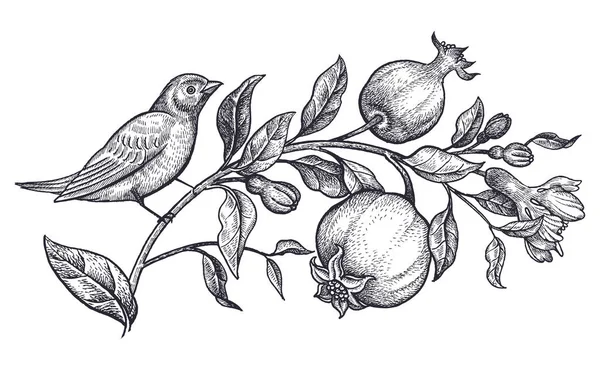 Украшение Птицей Цветами Реалистичный Ручной Рисунок Соловья Ветки Гранатом Изолированы — стоковый вектор