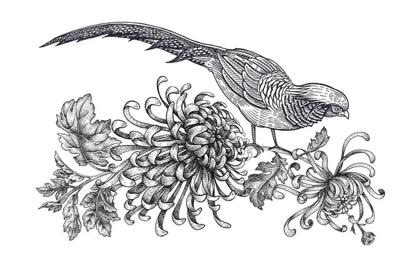 用鸟和花装饰 在白色背景上查出的逼真的手绘野鸡和菊花 向量例证艺术 黑色和白色的素描 复古东方雕刻 — 图库矢量图片