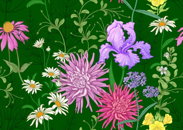 Pola Musim Panas Mulus Bunga Liar Chamomile Herbal Aster Iris - Stok Vektor