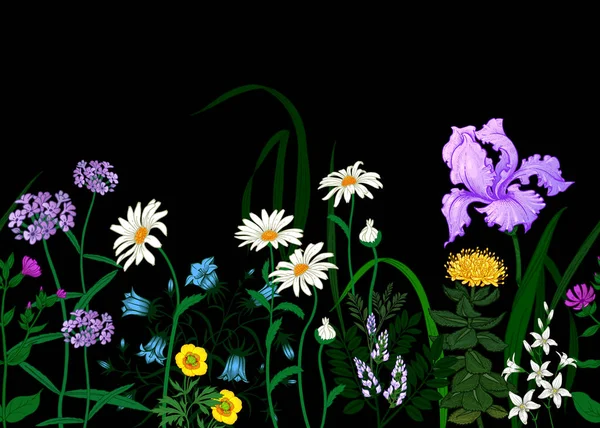野生の花をボーダーします 黒い背景に野の花のシームレスな夏のパターン 印刷の壁紙 生地の花柄背景 ハンド ドローイング デッサン ファッション イラスト — ストックベクタ