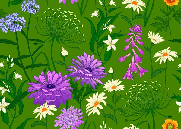 Wild Flowers Seamless Summer Pattern Chamomile Herbs Bells Floral Green — Stock Vector
