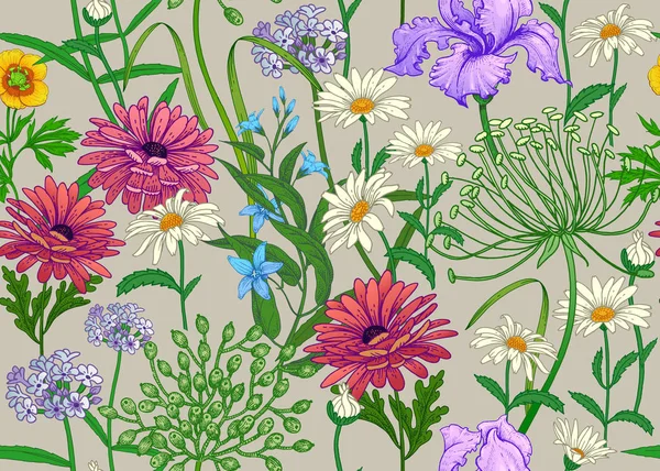 Fleurs Sauvages Modèle Été Sans Couture Avec Camomille Baies Herbes — Image vectorielle