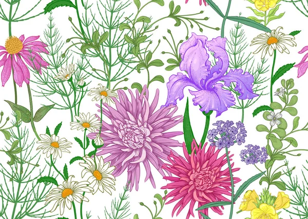 Modèle Été Sans Couture Fleurs Sauvages Camomille Herbes Aster Iris — Image vectorielle