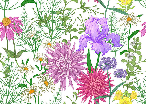 Seamless summer pattern. Wild flowers chamomile, herbs, aster, iris. Floral decoration for printing on wallpaper, paper, textiles, fabrics. Hand drawing sketch. Fashion illustration. White background