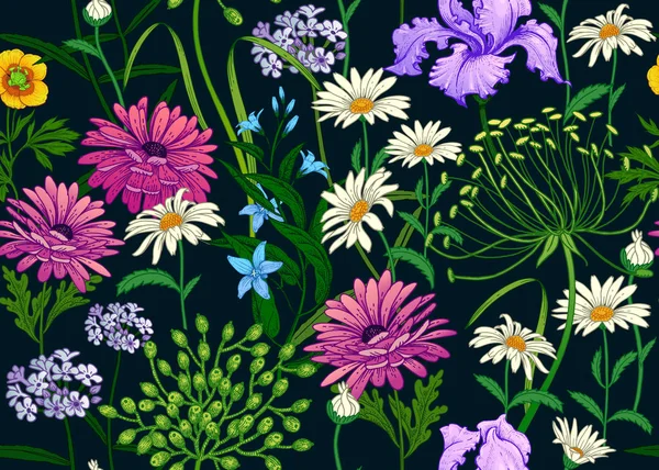 Άγρια Λουλούδια Απρόσκοπτη Καλοκαίρι Μοτίβο Χαμομήλι Μούρα Βότανα Κουδούνια Ίριδες — Διανυσματικό Αρχείο